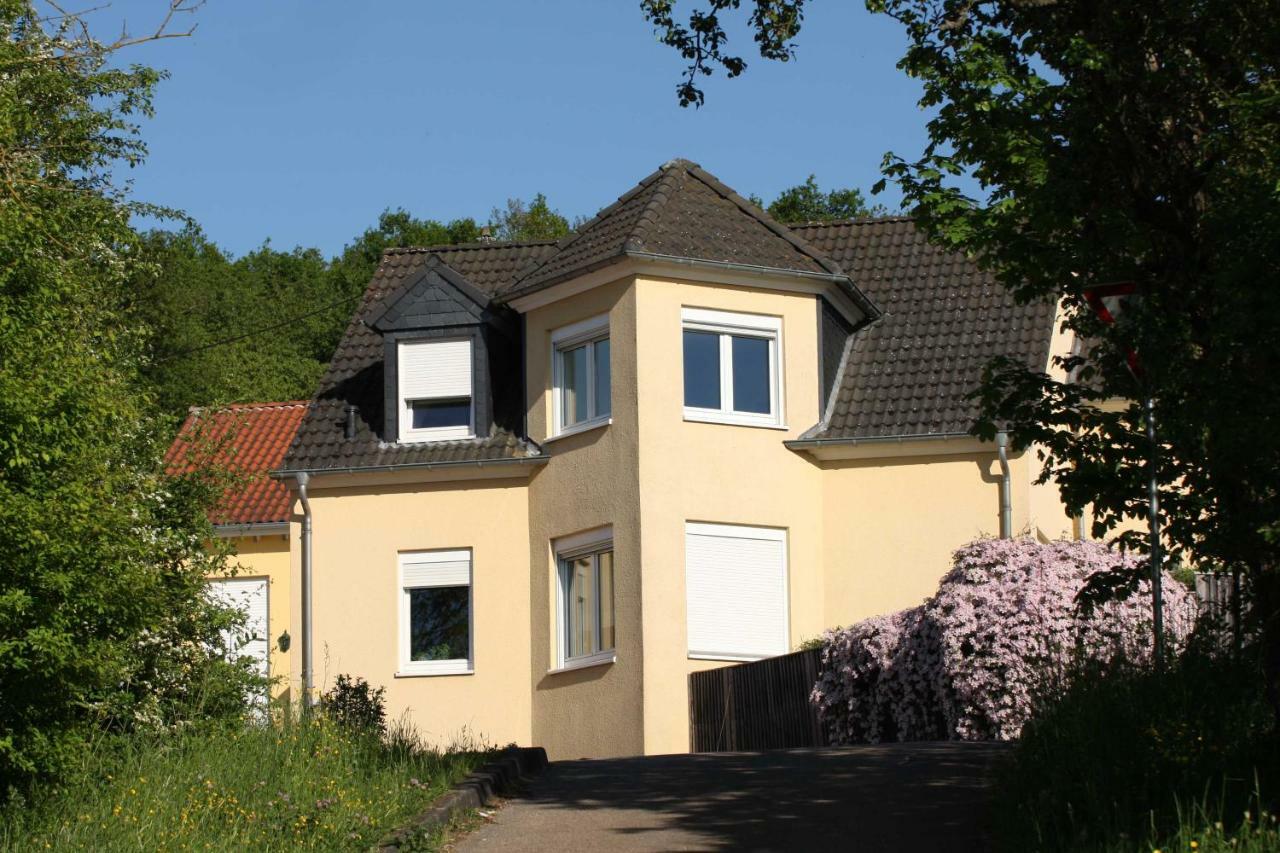 Villa Feyen In Trevír Exteriér fotografie